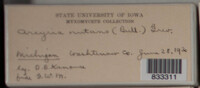 Image Associated With the Occurence
